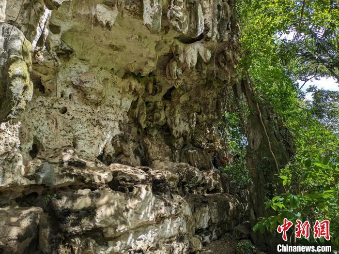 研究称,印尼5.12万年前类人形象与野猪互动洞穴画或为世界最早 研究称,印尼5.12万年前类人形象与野猪互动洞穴画或为世界最早