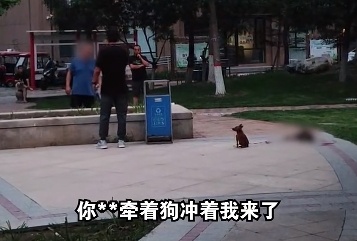 正常遛狗，一男子突然拿滑板车把狗砸晕，称“吓到我小孩了”…
