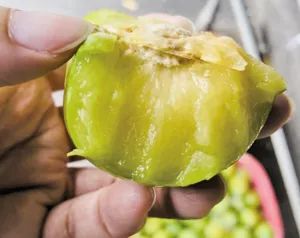 价格大跳水！昆明最低卖……