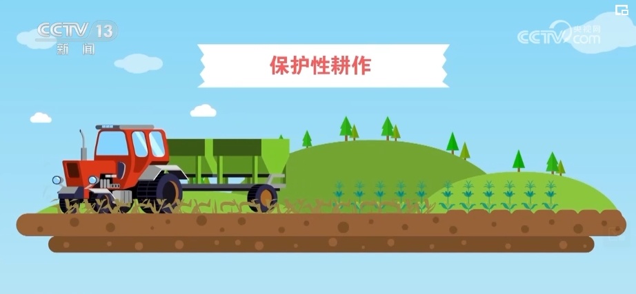 “一地一策”，3.0版！耕地中的“大熊猫”交出“优粮”答卷