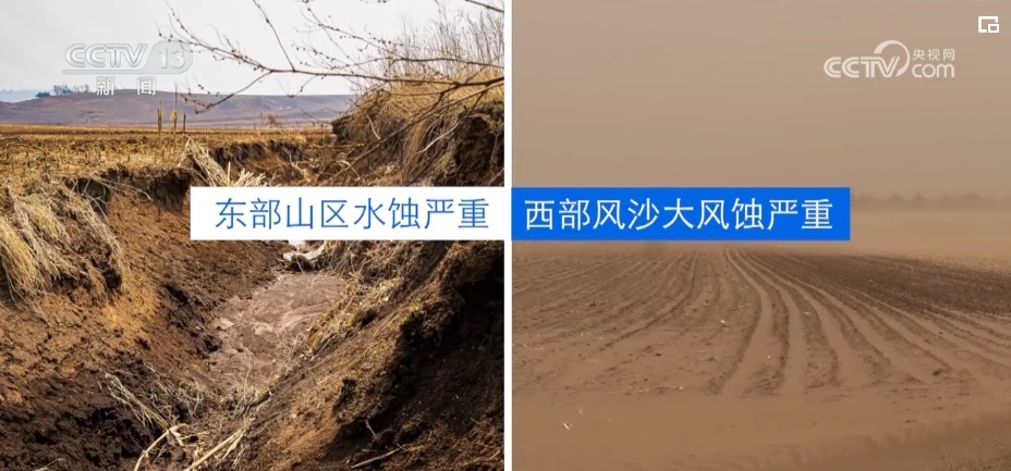 “一地一策”，3.0版！耕地中的“大熊猫”交出“优粮”答卷