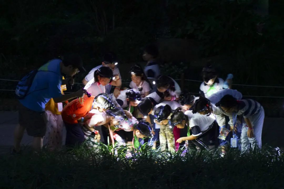 开启夜游，上海这些公园晚上也好玩