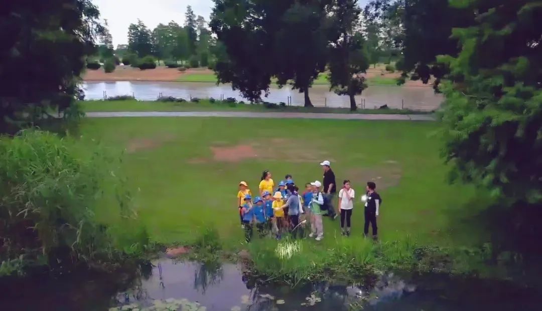 开启夜游，上海这些公园晚上也好玩