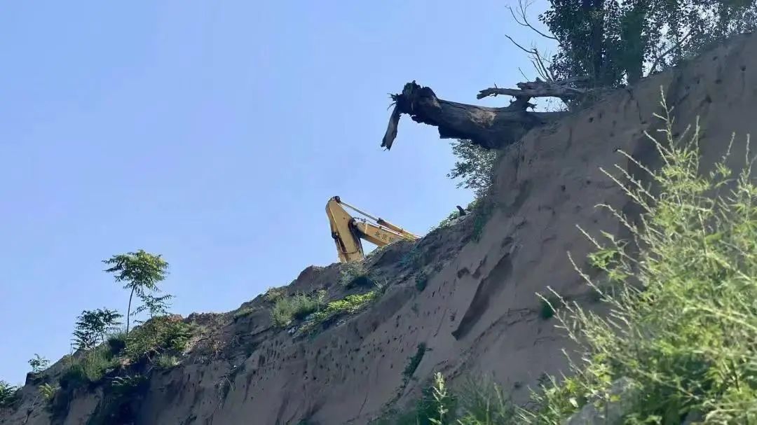 暖心!北京永定河畔,它们的家留住了 暖心!北京永定河畔,它们的家留住了