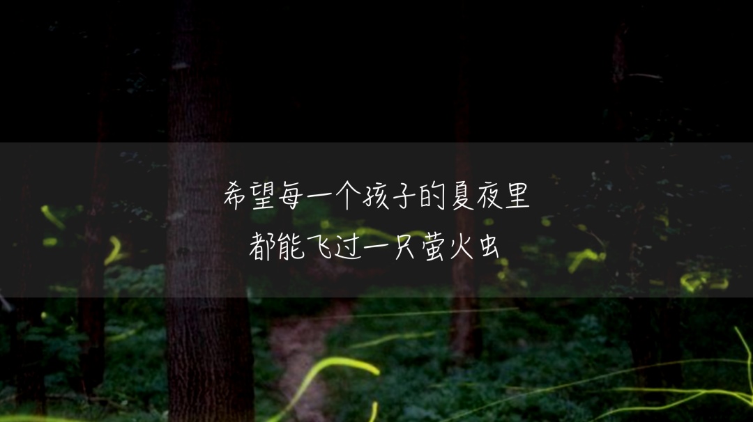 开启夜游，上海这些公园晚上也好玩