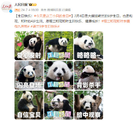 生日快乐！今天萌兰花花和叶生日