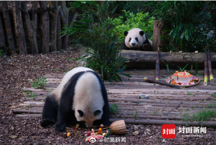 转存收藏！和花和叶生日高清图集