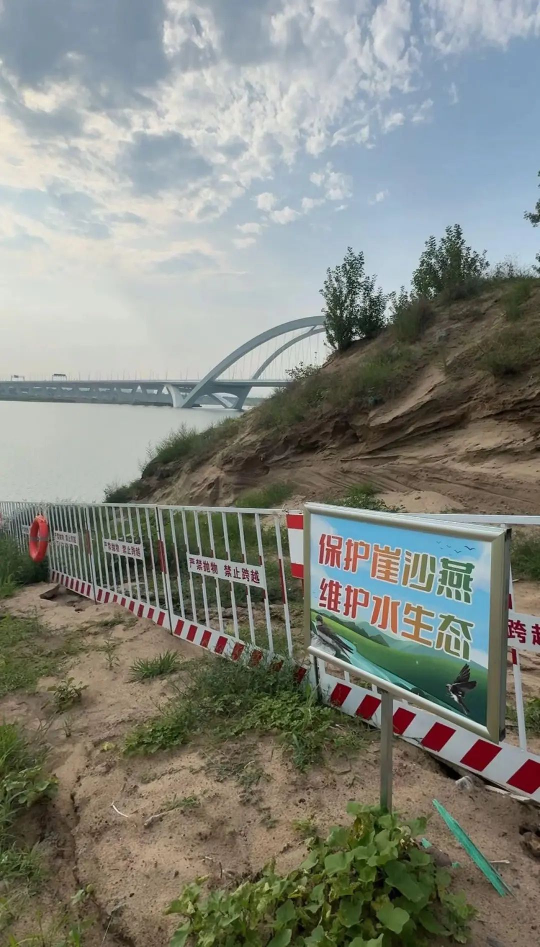 暖心!北京永定河畔,它们的家留住了 暖心!北京永定河畔,它们的家留住了