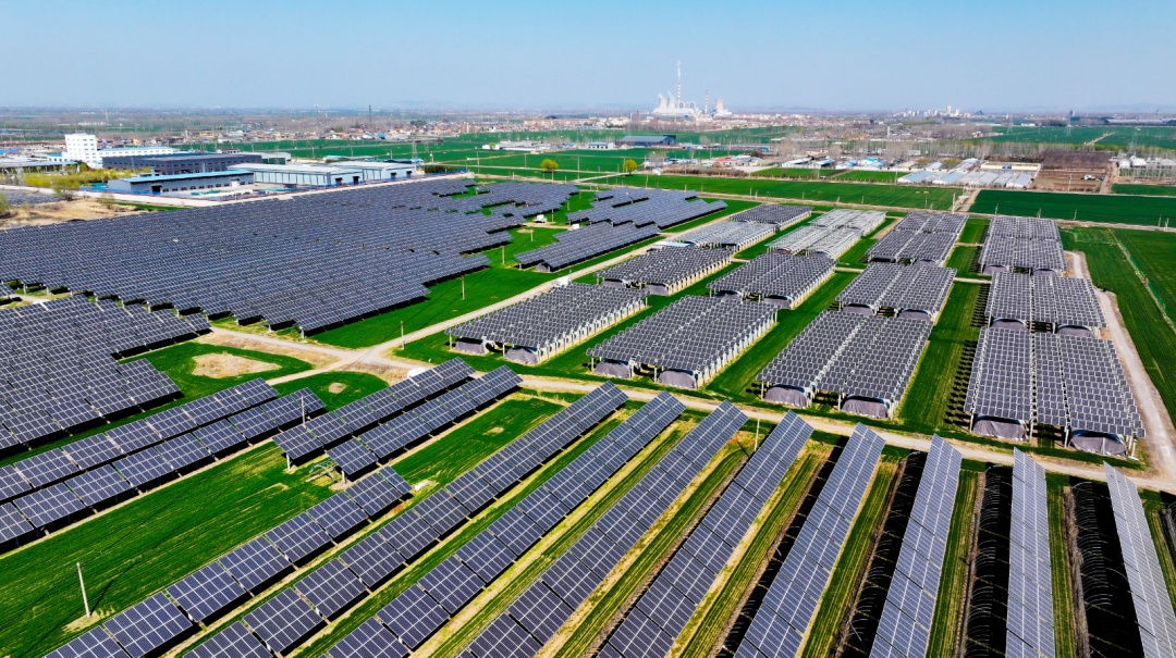 农地里“种太阳”,也要守好红线! 农地里“种太阳”,也要守好红线!