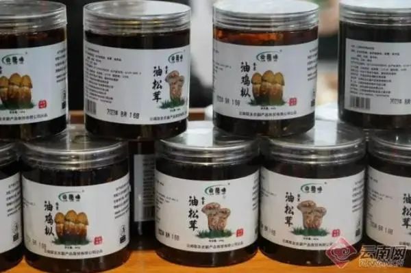 为了让你吃上野生菌,云南人有多拼? 为了让你吃上野生菌,云南人有多拼?