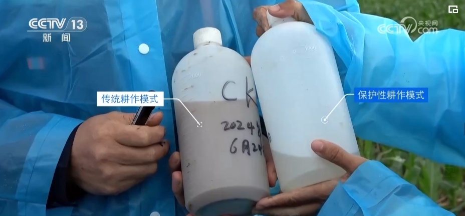 “一地一策”，3.0版！耕地中的“大熊猫”交出“优粮”答卷