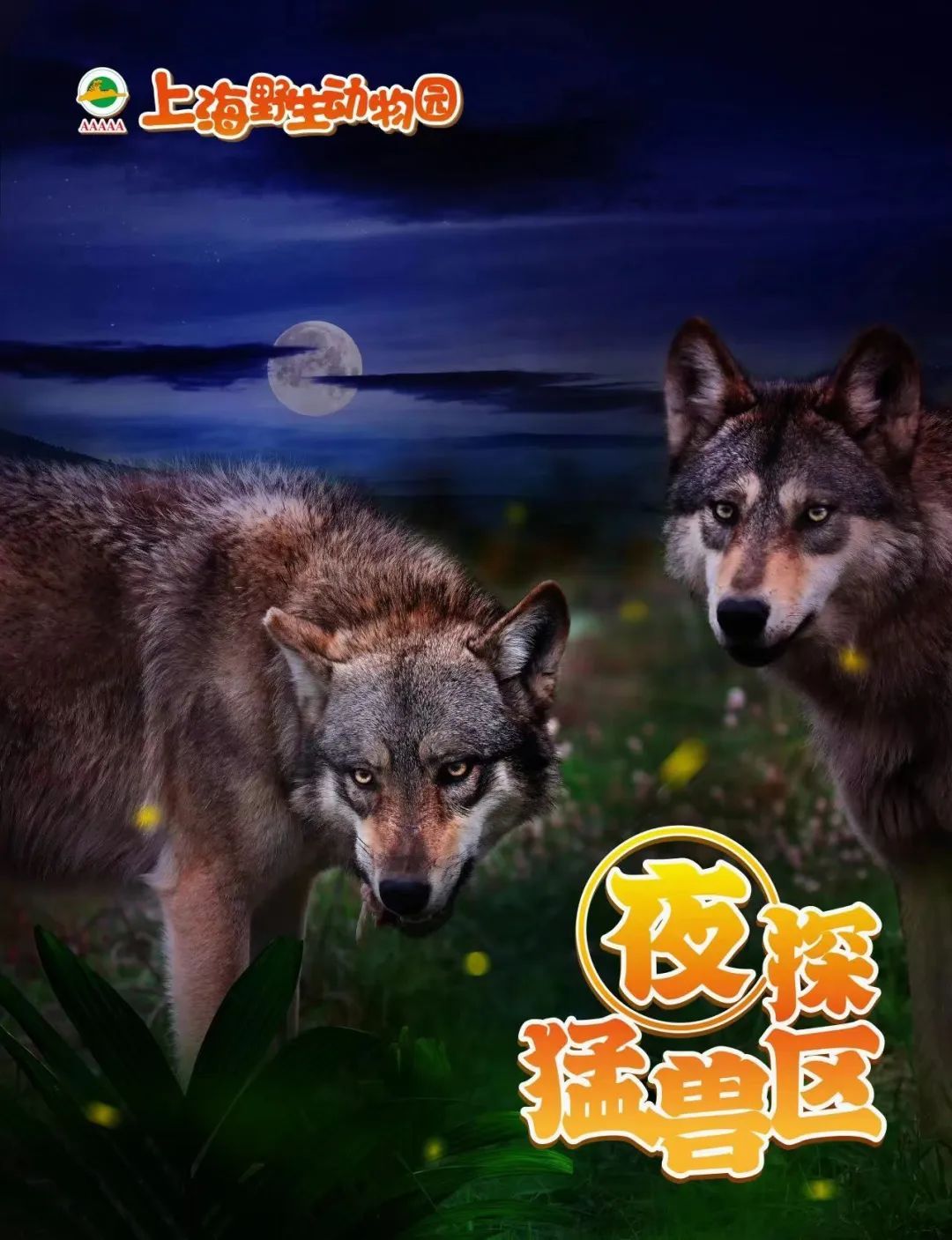 开启夜游，上海这些公园晚上也好玩