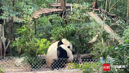 转存收藏！和花和叶生日高清图集