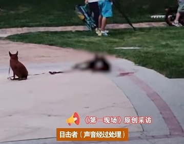 正常遛狗，一男子突然拿滑板车把狗砸晕，称“吓到我小孩了”…