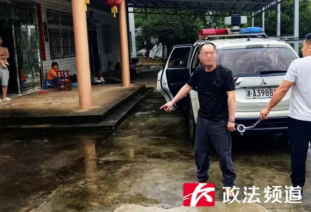 村里多条看门狗接连无故失踪，监控拍下这一幕……