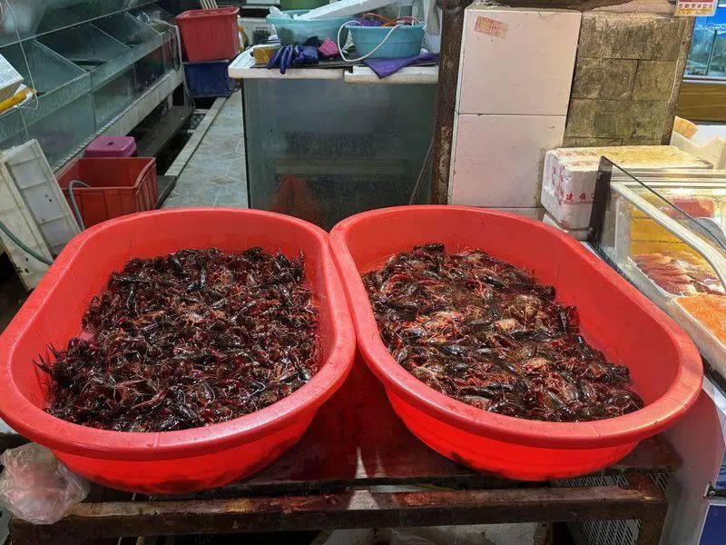 上市量减少！昆明小龙虾每公斤价格上涨……