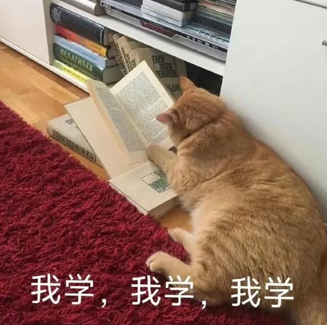 深中通道将迎来首个周末车流高峰，几点通行提示必看！