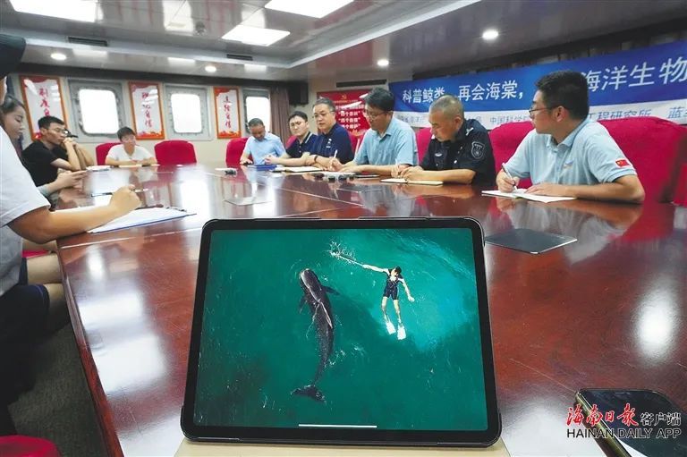 “海棠”，我们来看你了！海南启动这项回访调查→