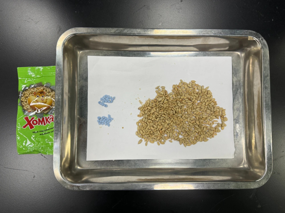 进境瓜子仁里藏着神秘蓝色小药丸？广州海关：三唑仑！