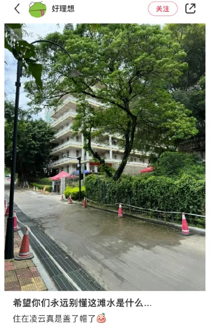 细思极恐！高温天树上滴水，可能是它尿了→