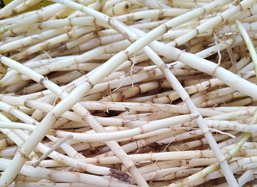 “天然解毒卫士”是它，每天吃一点，养肝排毒