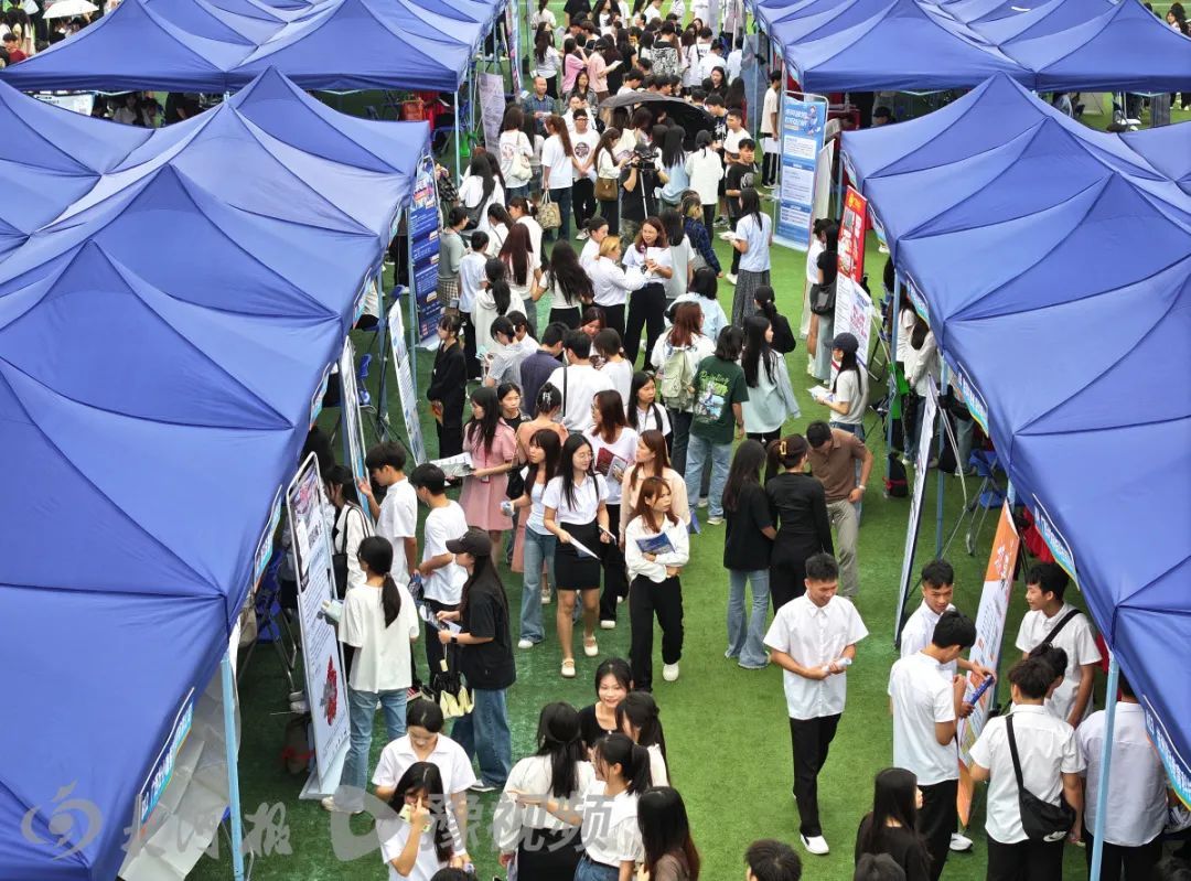 招聘更看重学历还是能力？河南大厂HR分享应届生应聘技巧