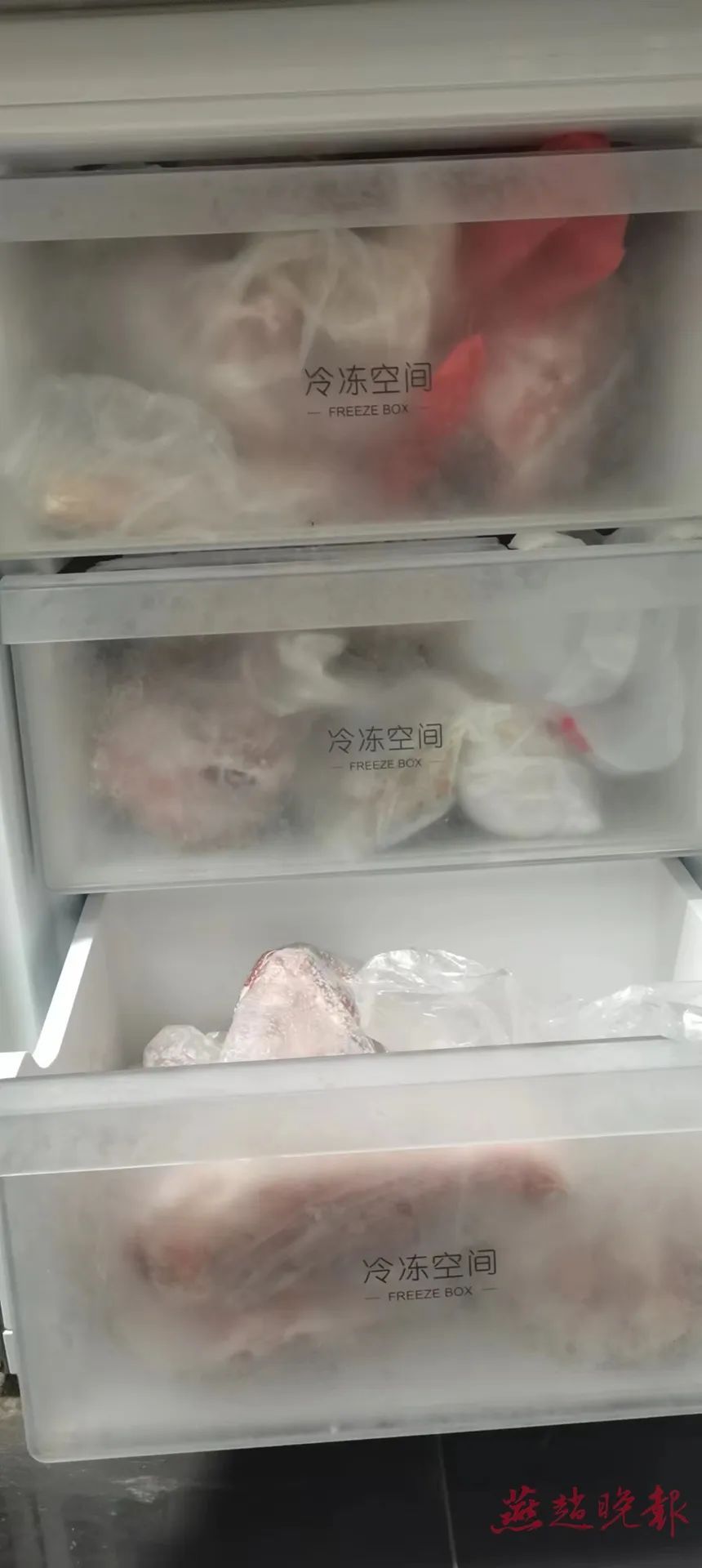 冰箱也能“养”细菌 夏天更要及时清理