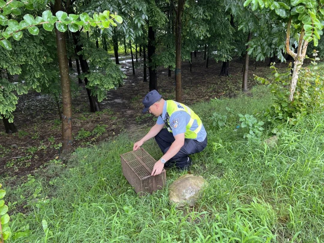 萌兽“做客”派出所 警林携手共救助 萌兽“做客”派出所 警林携手共救助