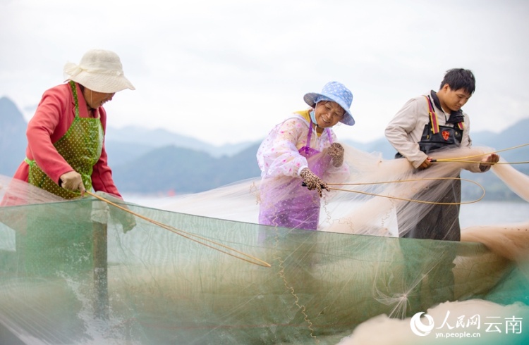我国最大深水型淡水湖泊开启捕鱼模式