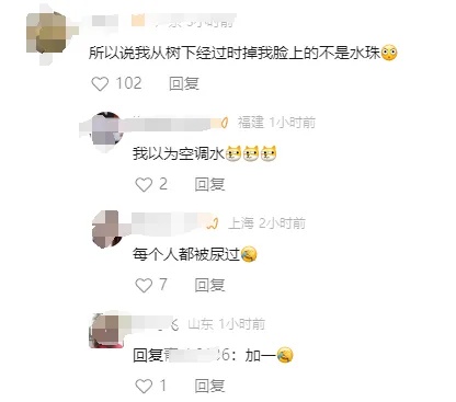 细思极恐！高温天树上滴水，可能是它尿了→