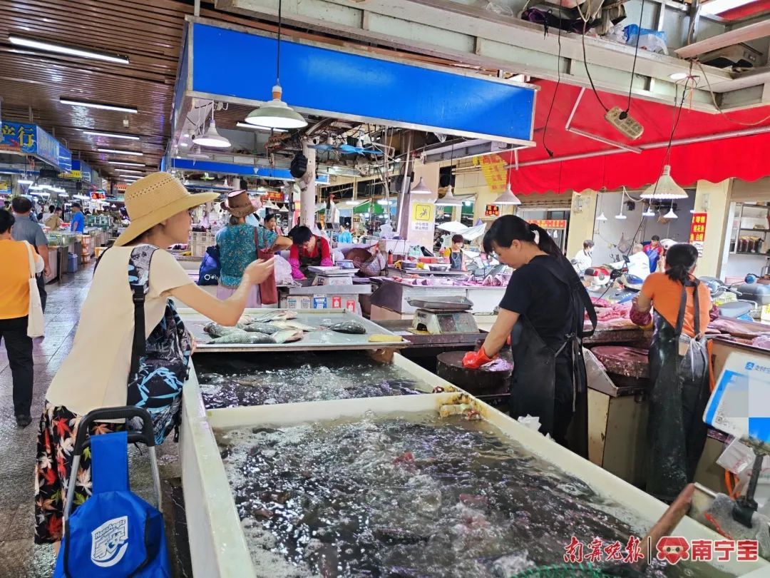 广西珠江流域禁渔期结束!这些鱼价格上涨…… 广西珠江流域禁渔期结束!这些鱼价格上涨……