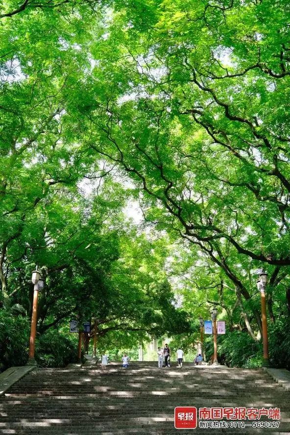 广西未来两个月高温日数偏多！注意防暑降温