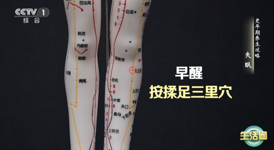 【养生】入睡难、睡眠浅、醒得早？试试按揉这几个穴位