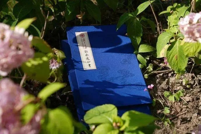 谁家录取通知书里放珍珠啊!今年,高校有新“绝活”了 谁家录取通知书里放珍珠啊!今年,高校有新“绝活”了