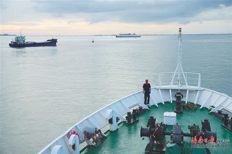 “海棠”，我们来看你了！海南启动这项回访调查→