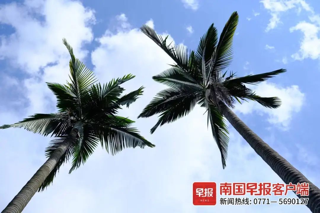 广西未来两个月高温日数偏多！注意防暑降温