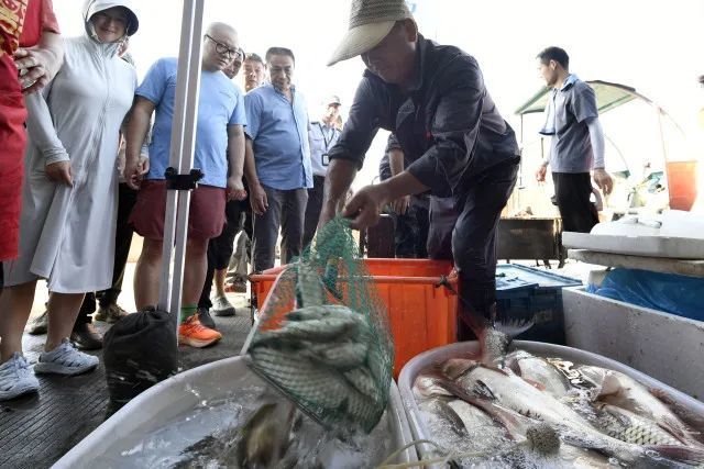 一大早卖完!杭州人馋的那一口鲜回归!老板:电话都被打爆了…… 一大早卖完!杭州人馋的那一口鲜回归!老板:电话都被打爆了……