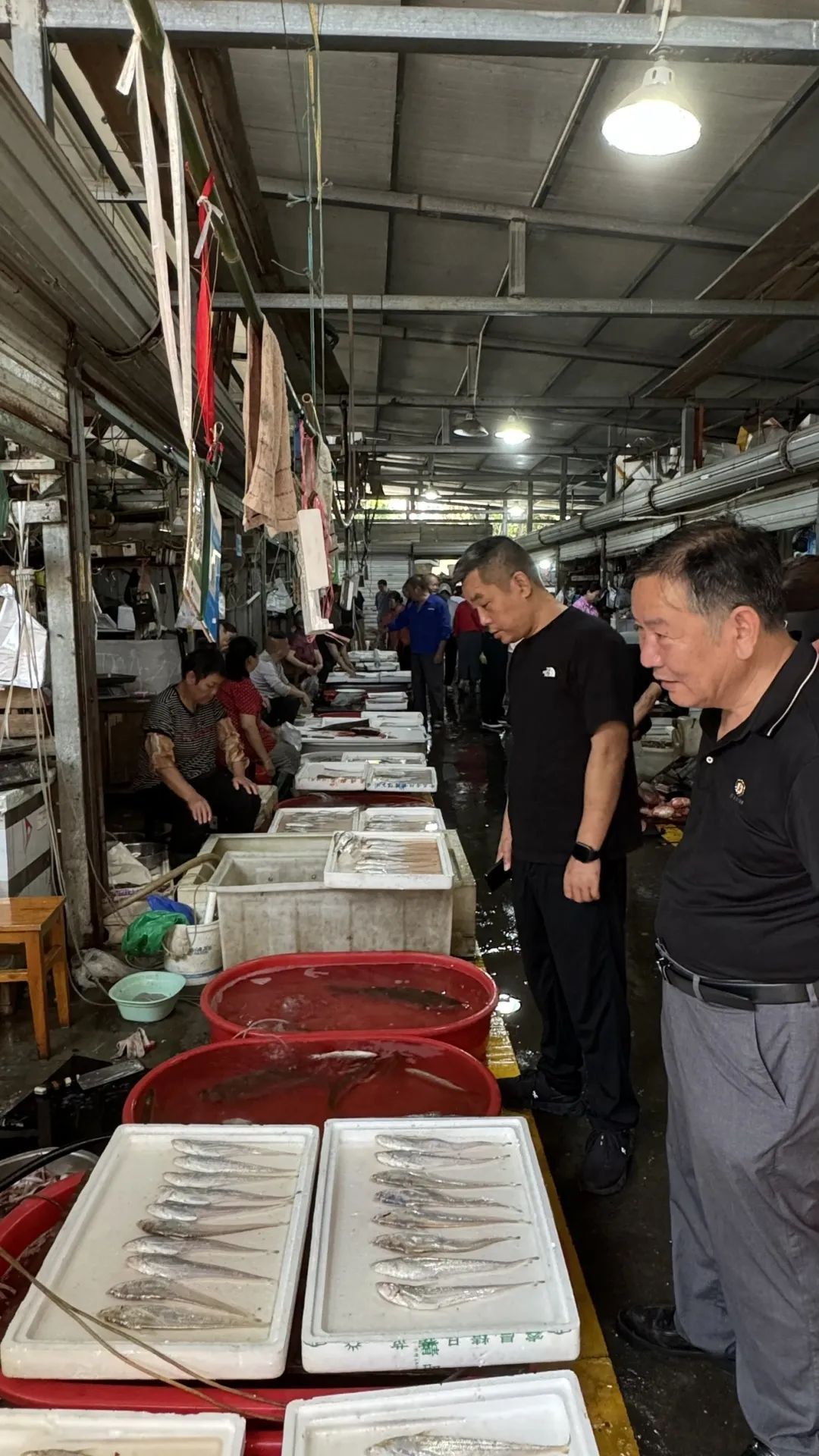 卖疯了！近4000斤2小时卖光！杭州人最爱的这一口，今年没涨价