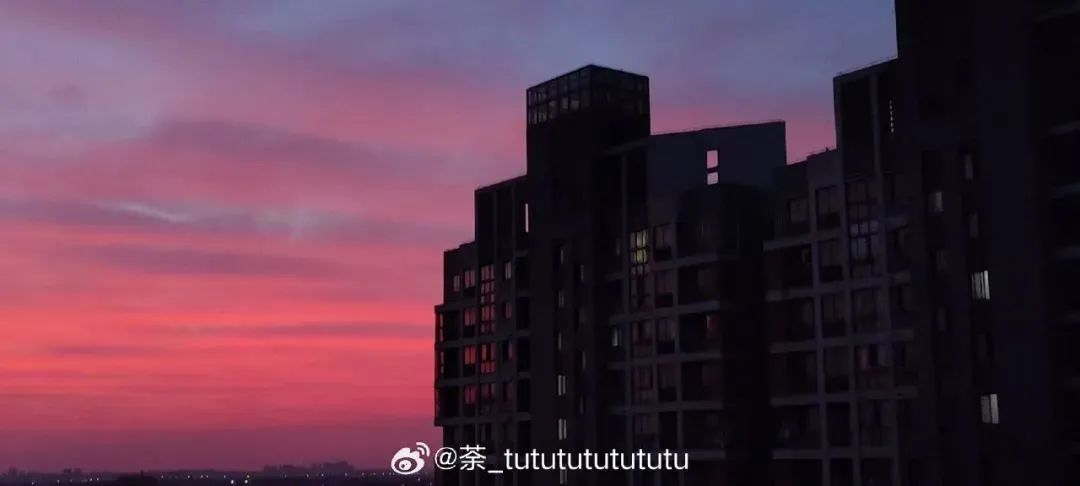 持续酷热！上海啥时候能降温？有消息了！高温天这6类东西千万别放车里，快去检查→