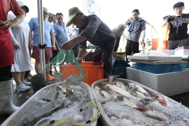 一大早卖完!杭州人馋的那一口鲜回归!老板:电话都被打爆了…… 一大早卖完!杭州人馋的那一口鲜回归!老板:电话都被打爆了……
