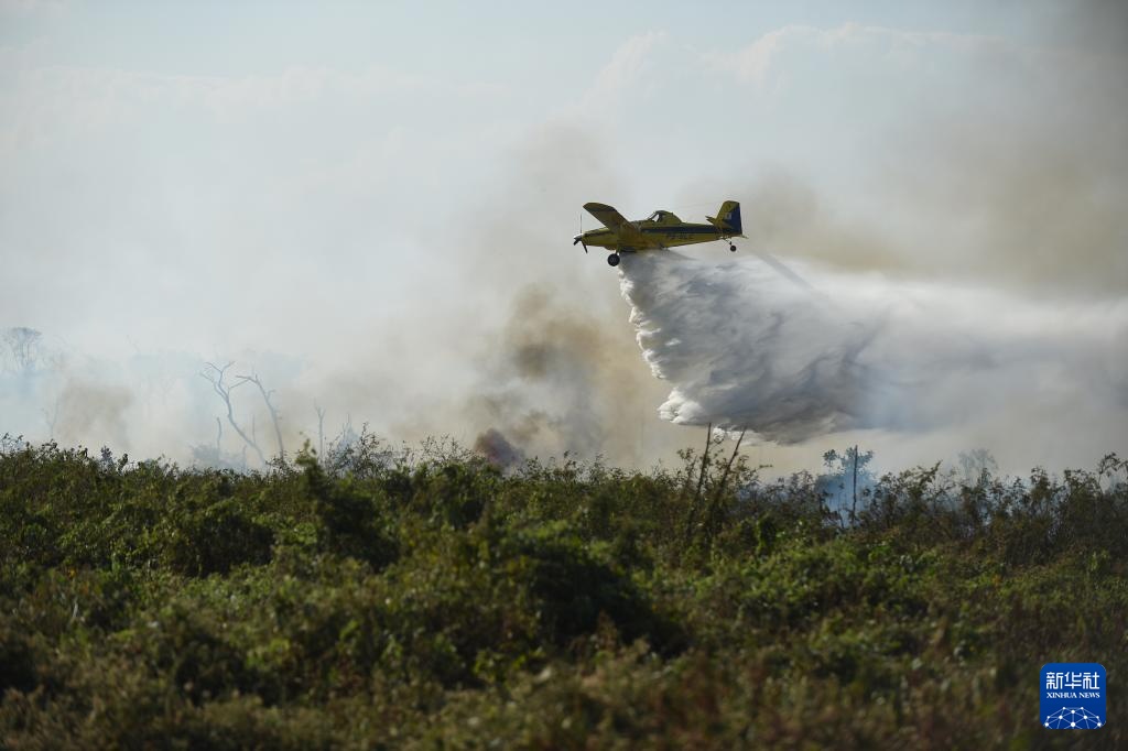 世界最大湿地今年遭遇严重火灾破坏 世界最大湿地今年遭遇严重火灾破坏