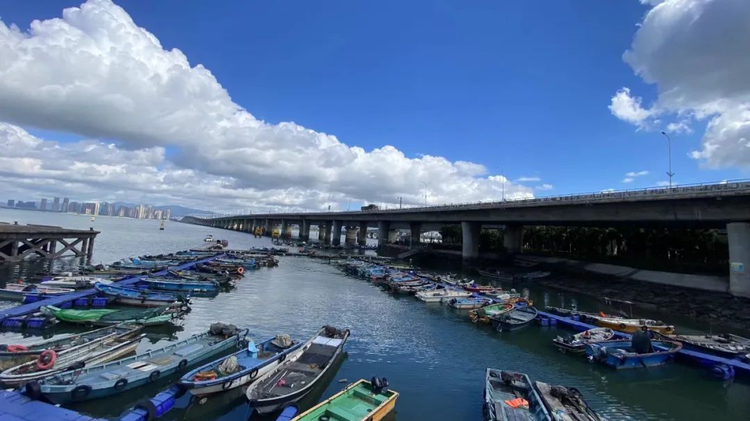 热糊了 ！福建多地预警！厦门今晚22时20分……