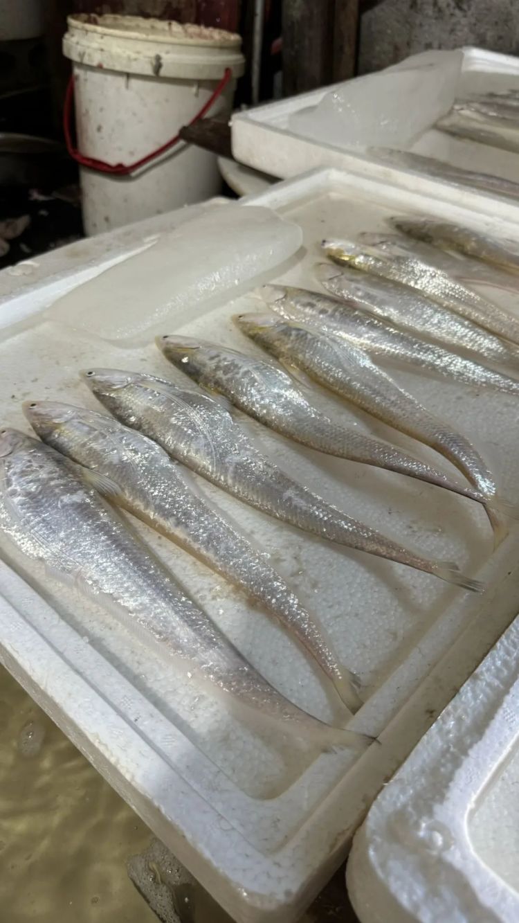 一大早卖完!杭州人馋的那一口鲜回归!老板:电话都被打爆了…… 一大早卖完!杭州人馋的那一口鲜回归!老板:电话都被打爆了……