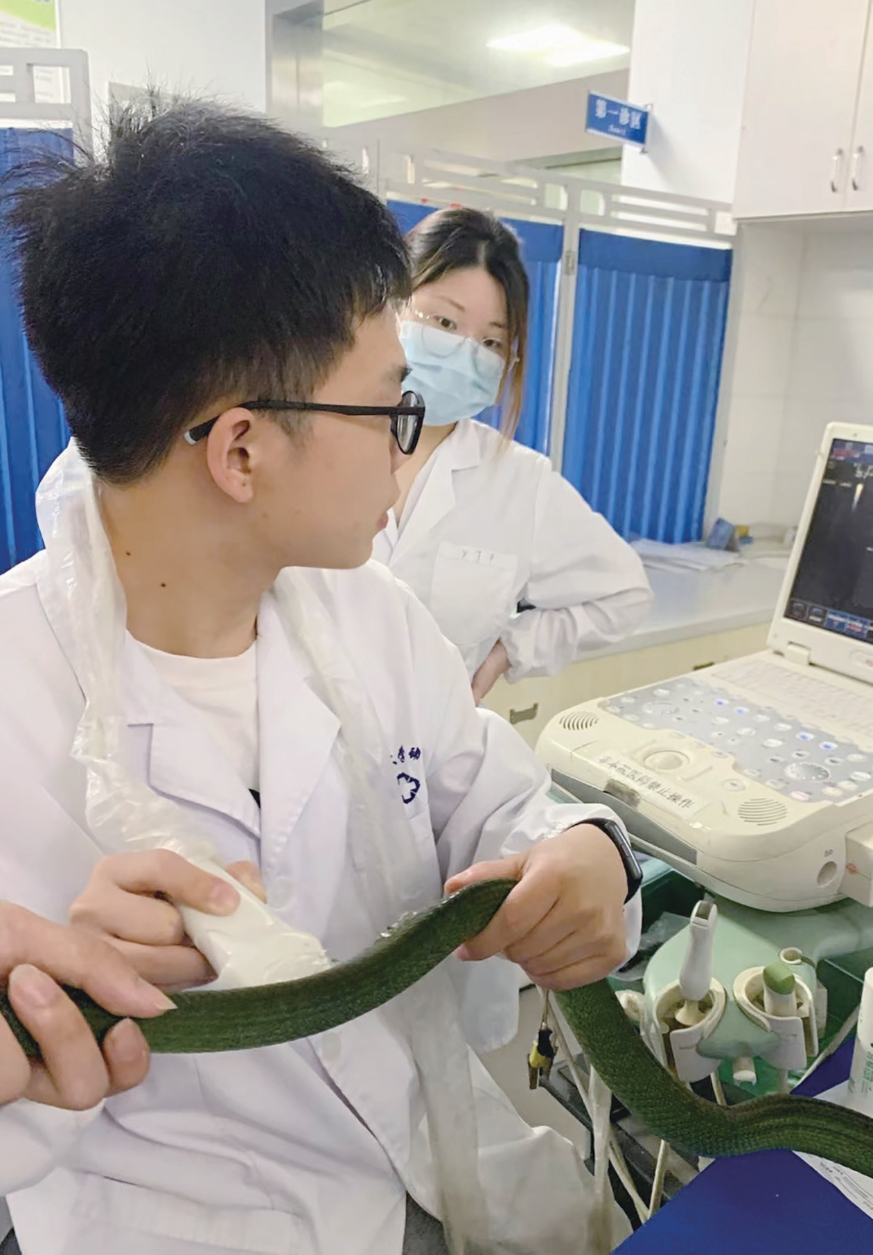 宠物医生,干得越久越吃香 宠物医生,干得越久越吃香