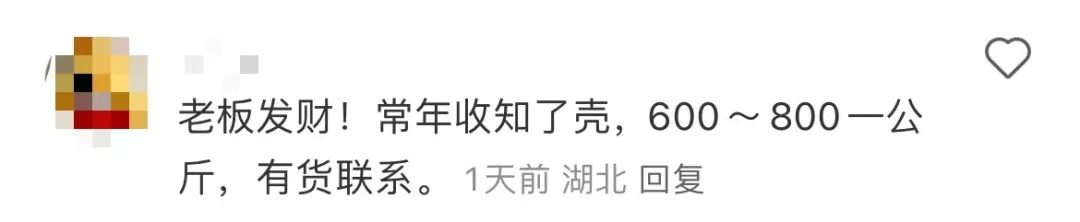正大量出现，不少人夜晚“出动”......紧急提醒