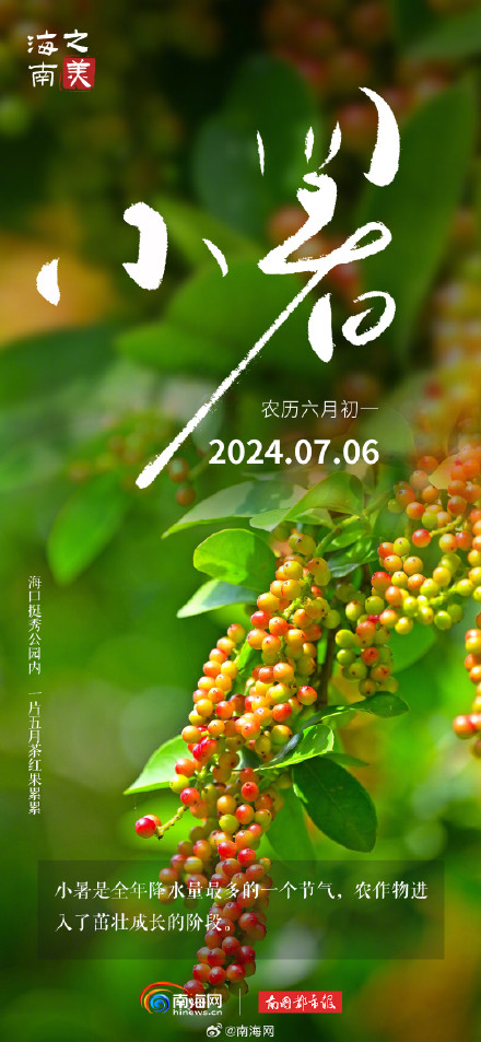 今日小暑 |海南的夏天不只有海，还有这些小美好等你发现
