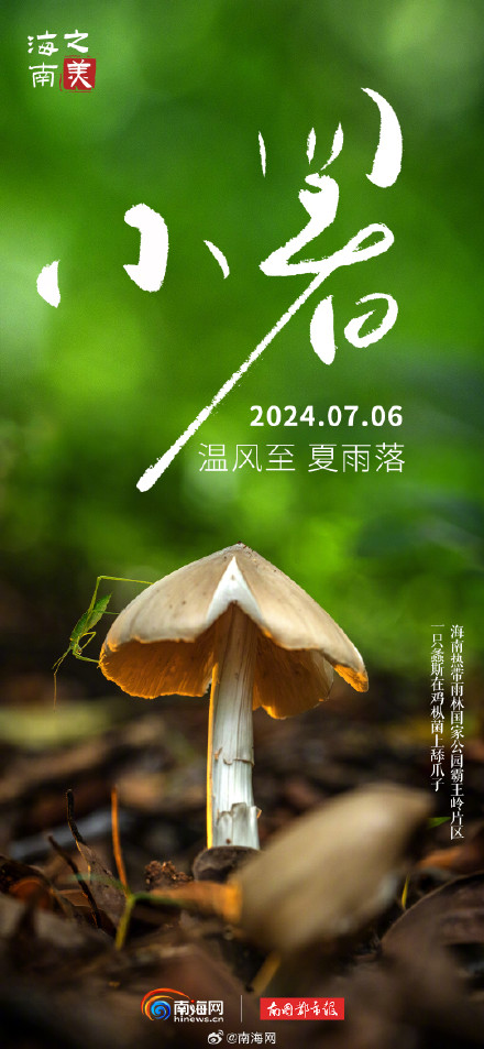 今日小暑 |海南的夏天不只有海，还有这些小美好等你发现