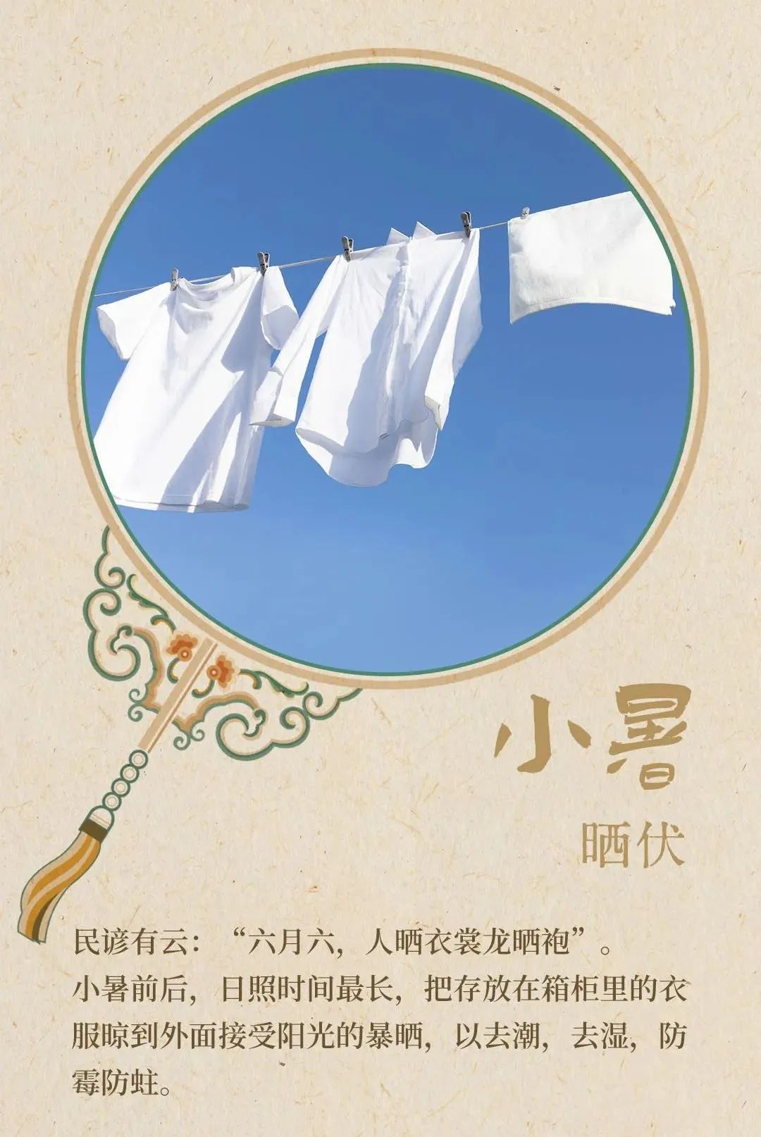 @山西人，暴雨将至！今日小暑！入伏时间就在…