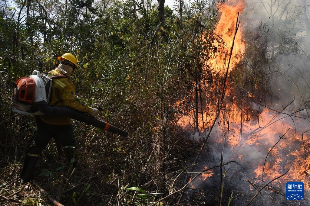 世界最大湿地今年遭遇严重火灾破坏 世界最大湿地今年遭遇严重火灾破坏