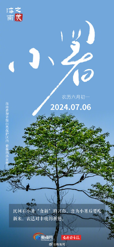今日小暑 |海南的夏天不只有海，还有这些小美好等你发现